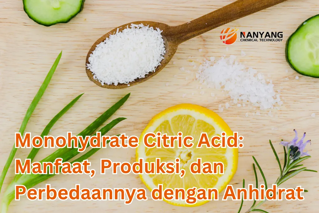 Monohydrate Citric Acid Manfaat, Produksi, dan Perbedaannya dengan Anhidrat.webp